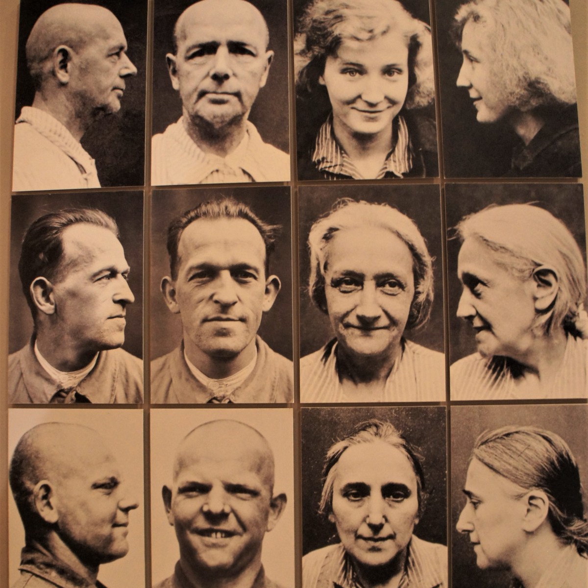 Psychiatric Holocaust