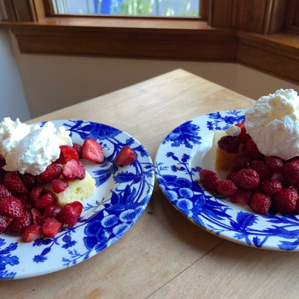 Strawberry Gluttony!
